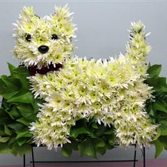 Westie Tribute