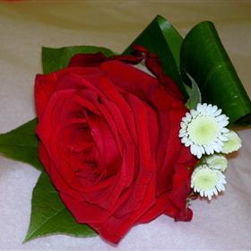fwthumbP5210077.jpg