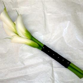 fwthumbP7250025.jpg