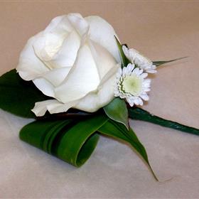 fwthumbP9180010.jpg