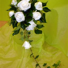 fwthumbPB120102.jpg