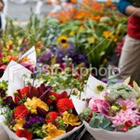 fwthumbflowermarket.jpg